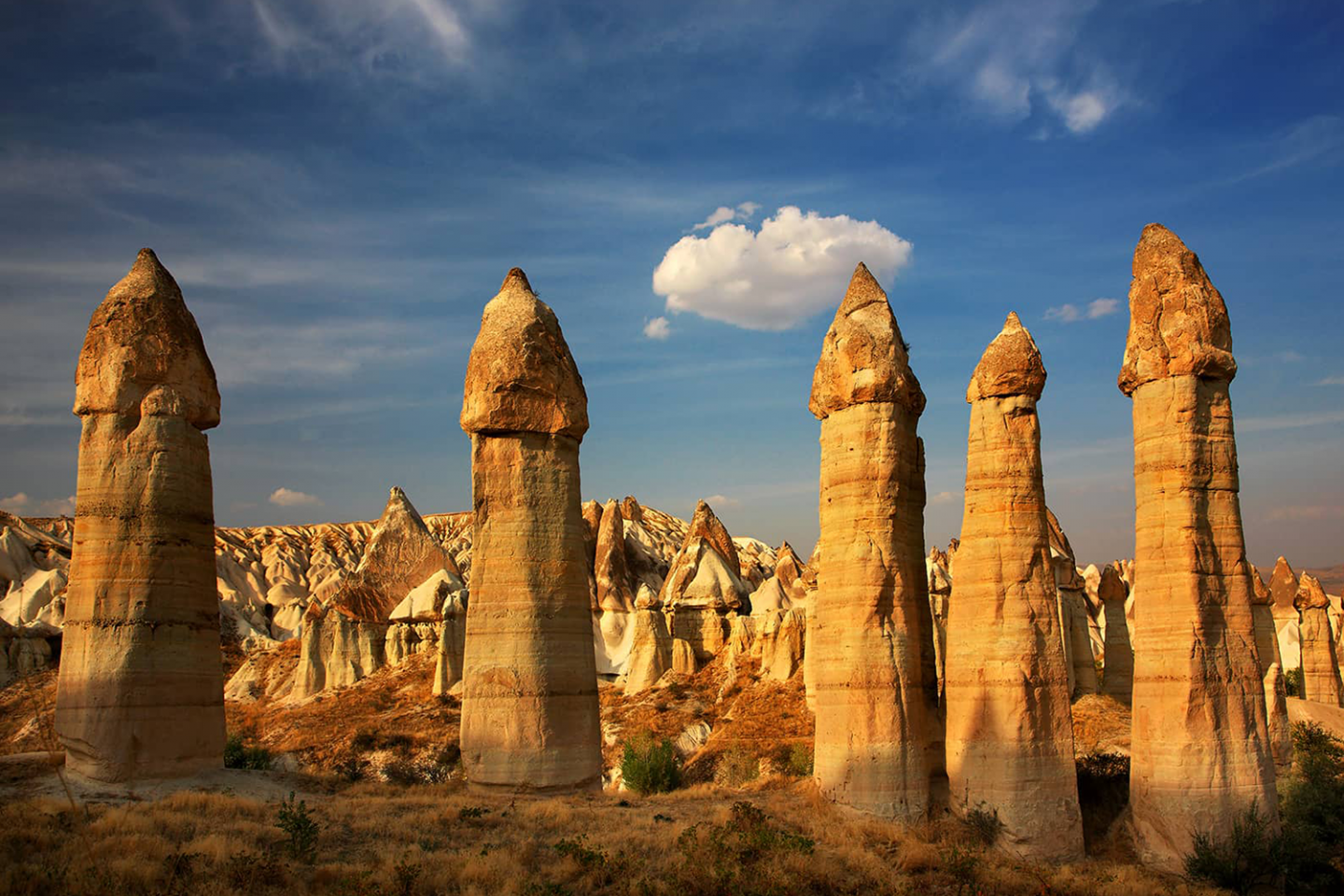   Galeri  - Jestur - Tatil Jestur'dan sorulur 