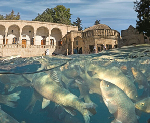 Konya Çıkışlı Gap Turu ( 3 Gece Konaklamalı )