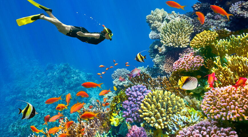 Kurban bayramı özel 5*  Hotel Konaklamalı Tüm Extra Turlar Dahil Sharm El Sheikh Tatil Paketi 4 Gece 5 Gün