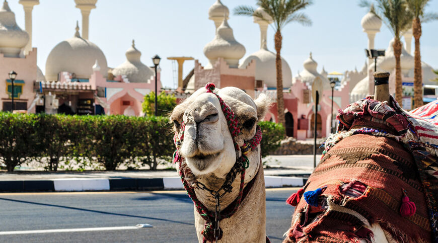 Kurban bayramı özel 5*  Hotel Konaklamalı Tüm Extra Turlar Dahil Sharm El Sheikh Tatil Paketi 4 Gece 5 Gün